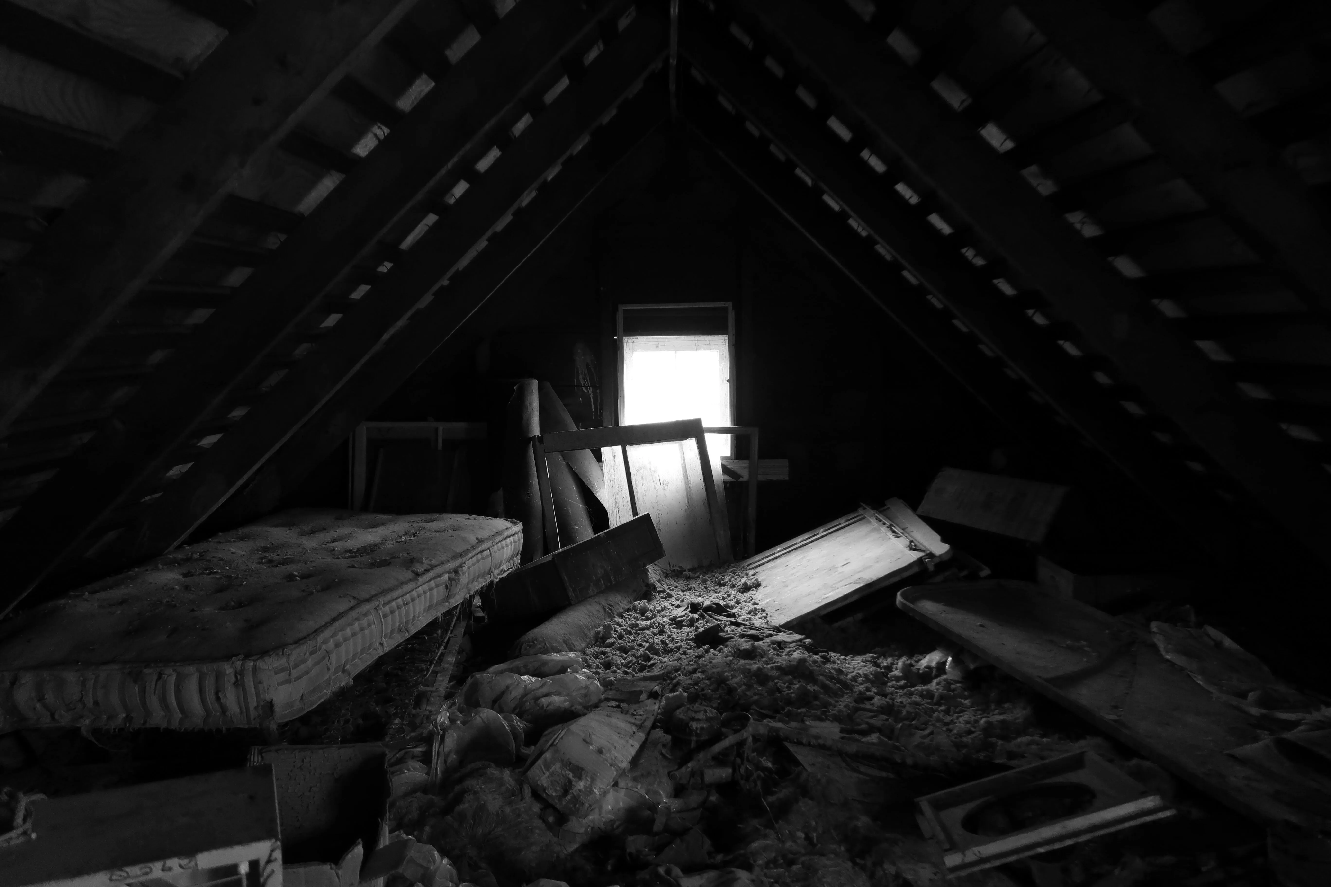 Attic Cleanup